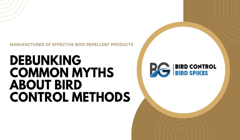 Bird Methods Top 10 Effective Bird Control Methods You Need to Know - Effective Bird ...